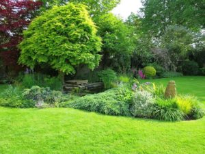 Jardin strates végétation 